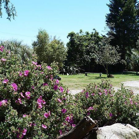 Fernwood Holiday Park Motueka Δωμάτιο φωτογραφία