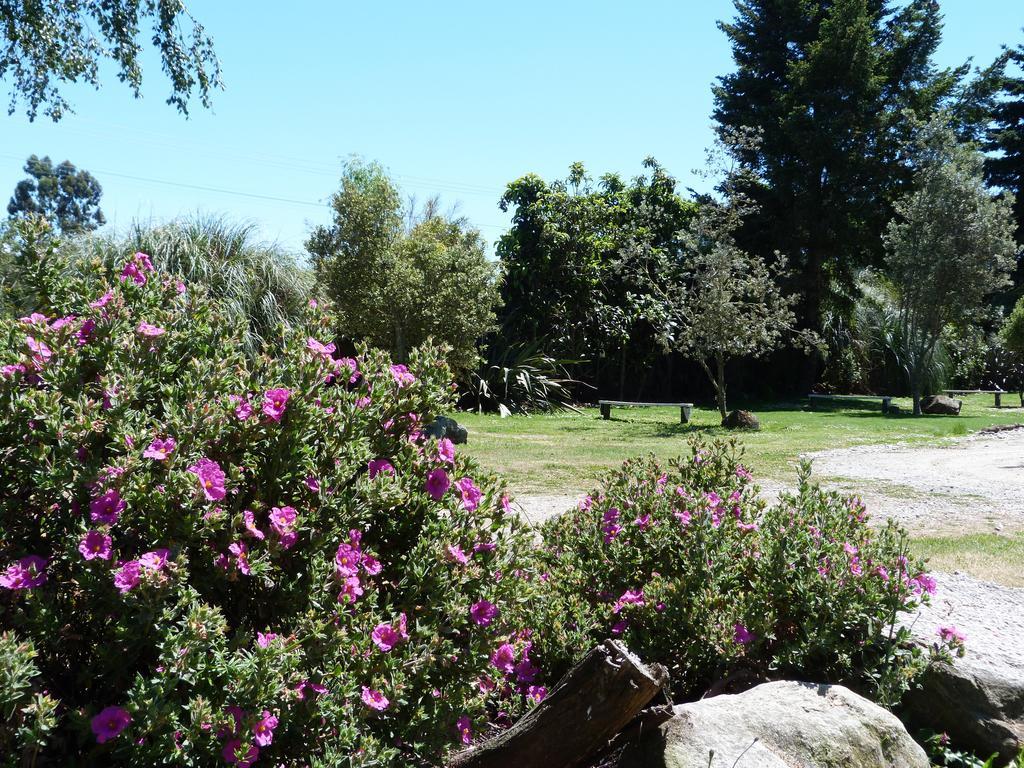 Fernwood Holiday Park Motueka Δωμάτιο φωτογραφία